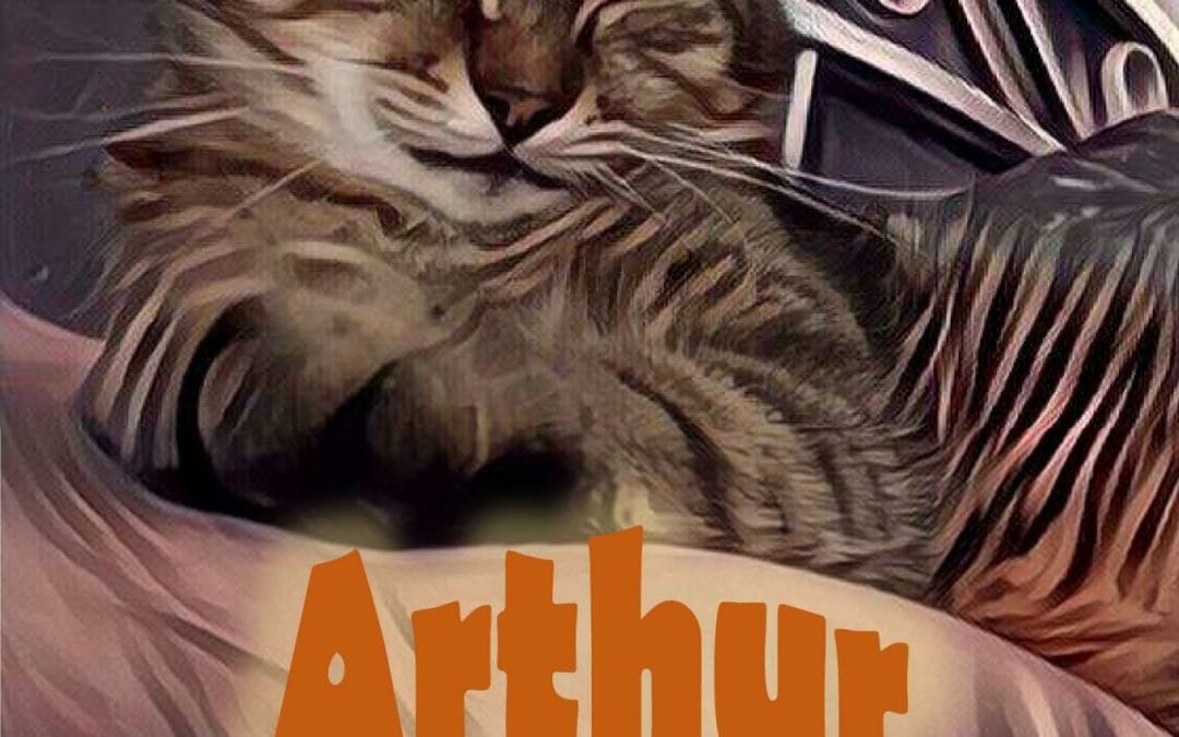 Arthur the Time-Travelling Cat